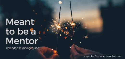 Meant to be a Mentor. Blended Training Course [Ian Schneider - unsplash]